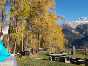 View of the picnic area