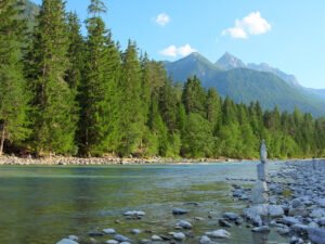 Klarer Bergfluss und Wald